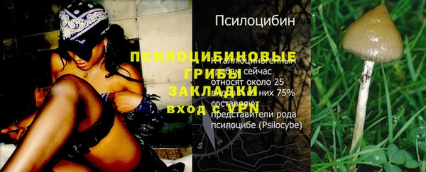 прущие крисы Абаза