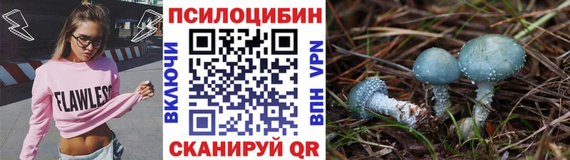 Галлюциногенные грибы прущие грибы  omg сайт  Белореченск 